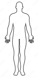 Human Body Outline